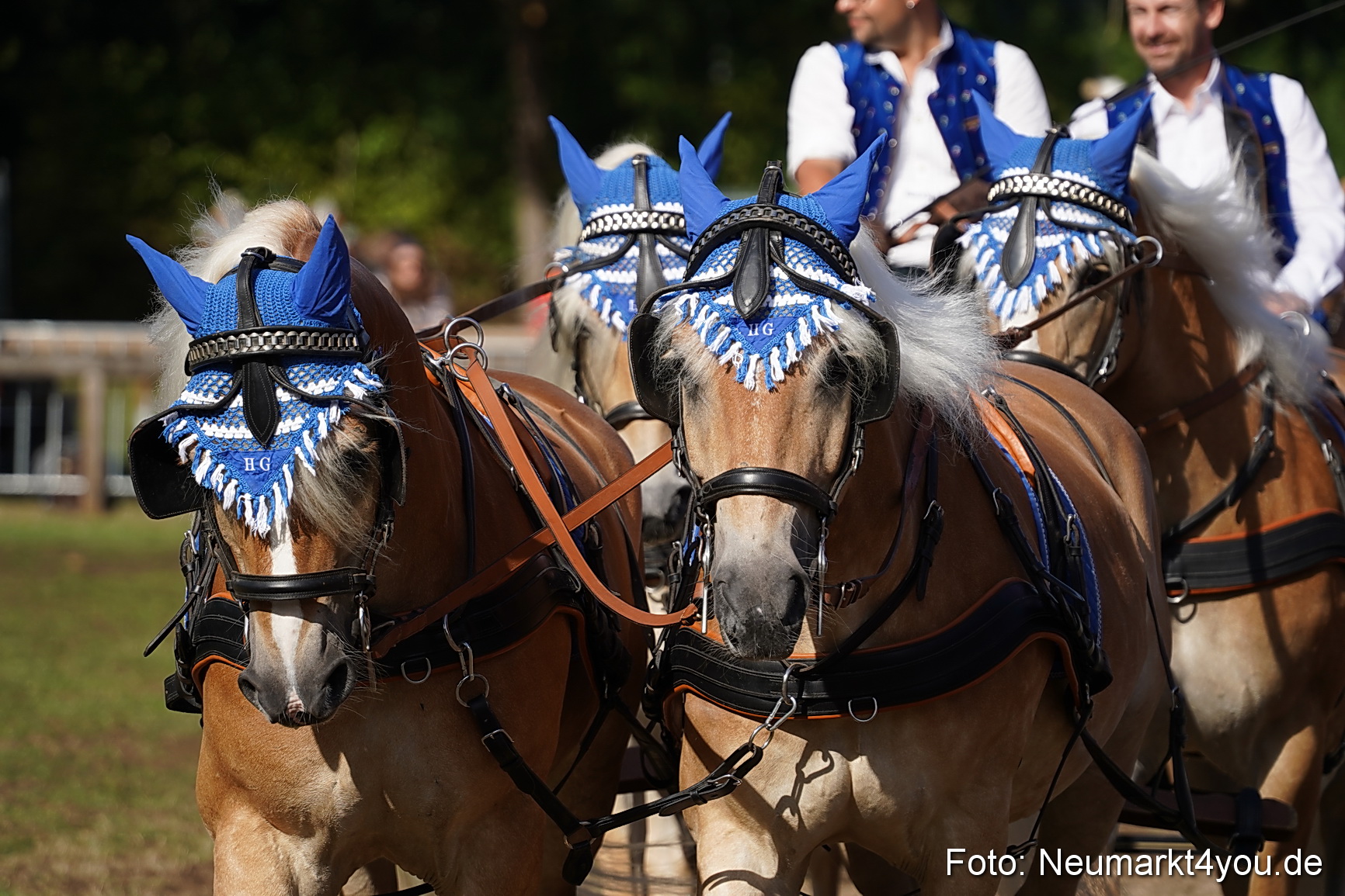 Pferde und Fohlenschau 2022 0130 